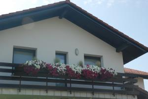 Hrašče 149 (6)